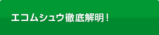 エコムシュウ徹底解明！
